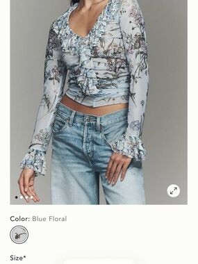 Anthropologie Light Blue Floral Ruffle Long-Sleeve Blouse